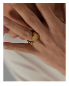 Anél Refinamento Único