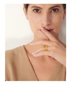 Anél Mistério Radiante