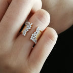 Anel Cristais Partidos