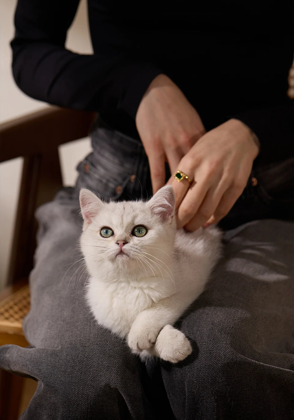 Anél Glamour Eterno